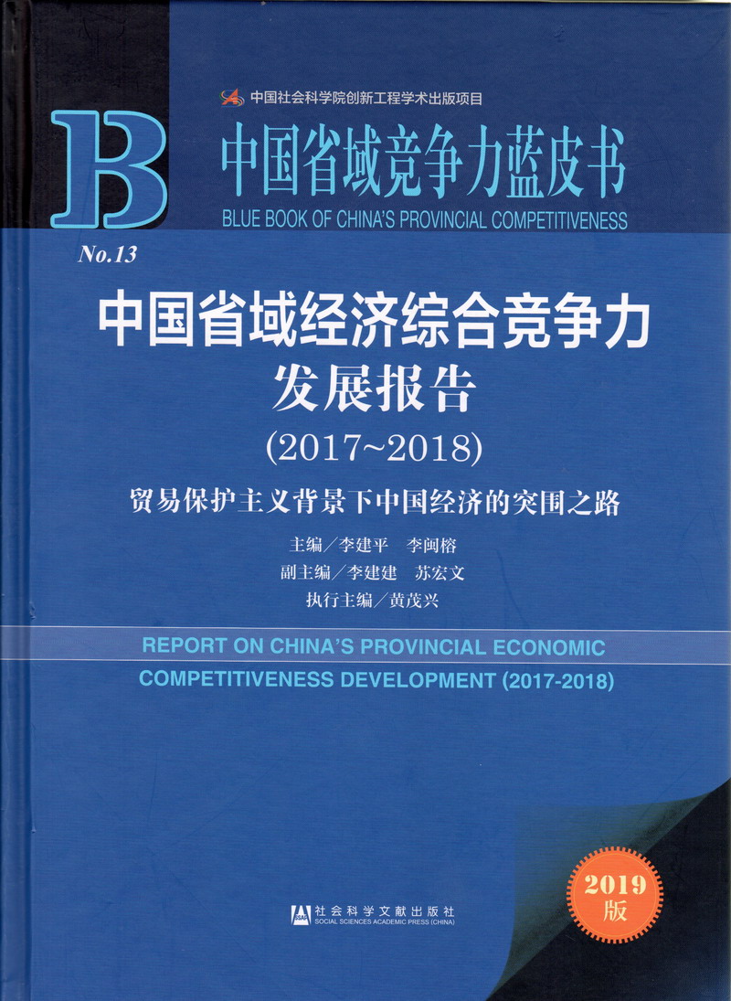 美女操逼网战中国省域经济综合竞争力发展报告（2017-2018）